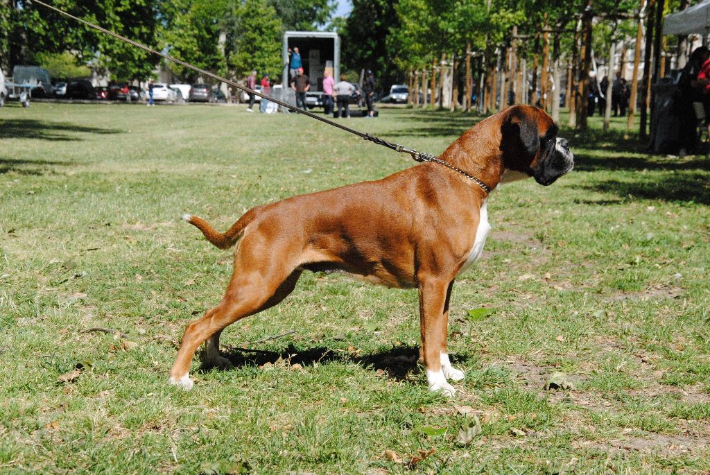 Miss dior of pearl des vents de mer