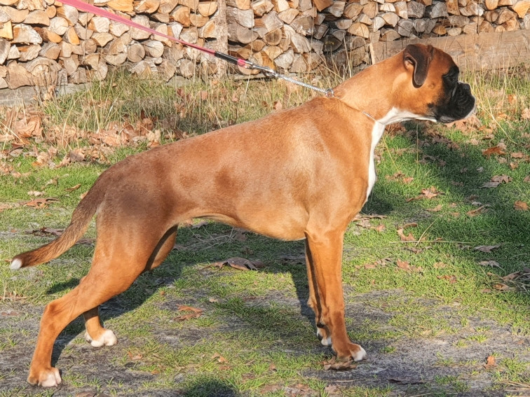 AURA DES VENTS DE MER (zorn x Una pearl)