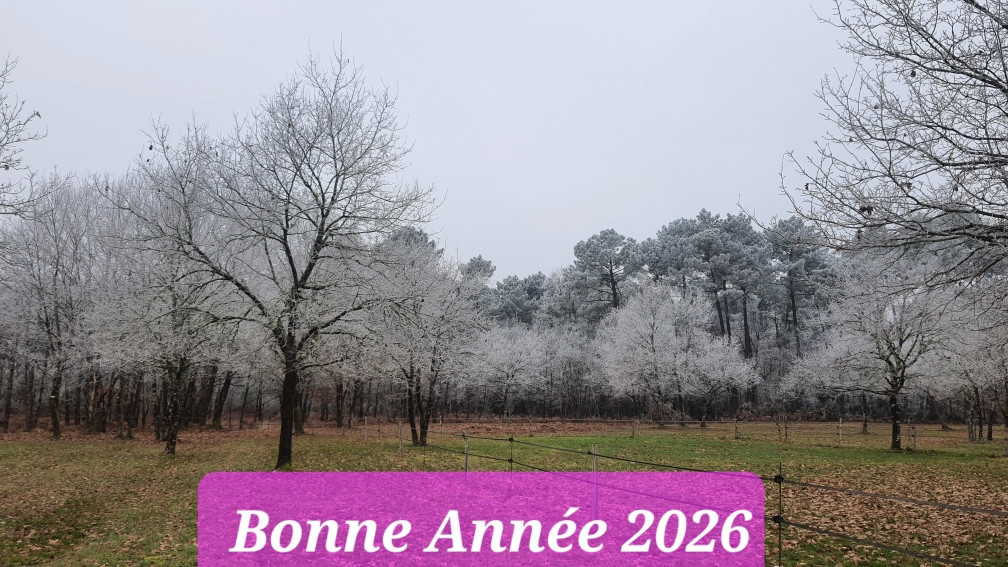 BONNE ANNEE 2026