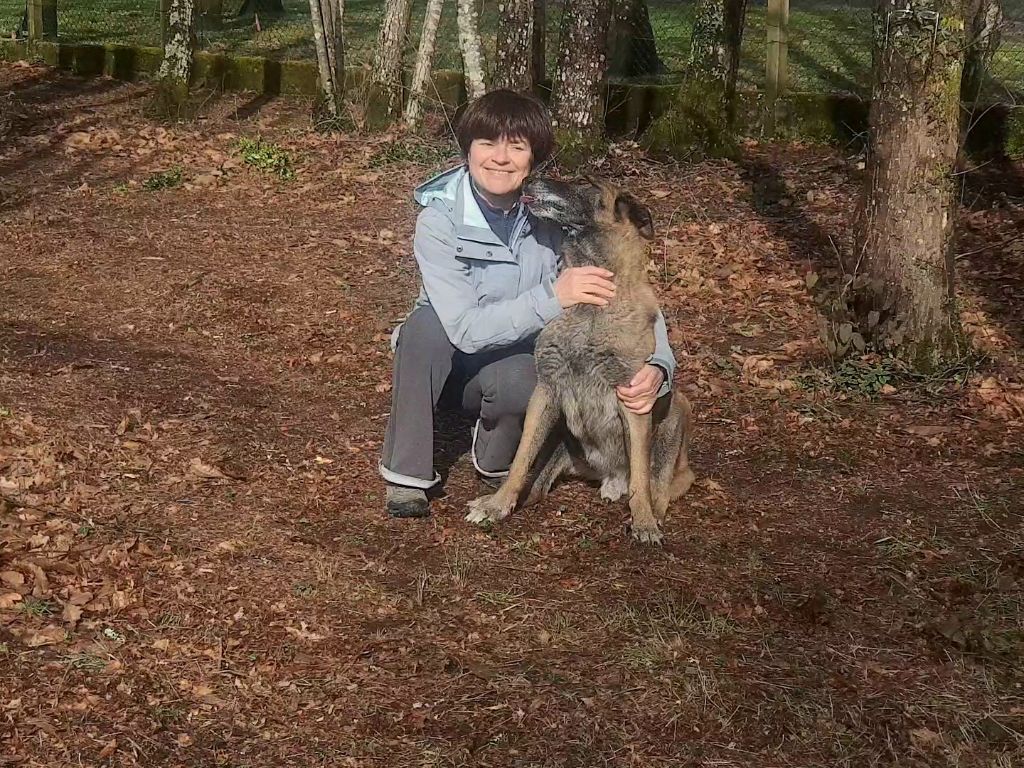 mon dernier des Vents de Mer....Geocker mon malinois 